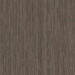 H3003_Norwich_Oak_Egger