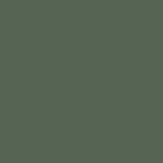 SV7700_Feral_Fern_Nevamar